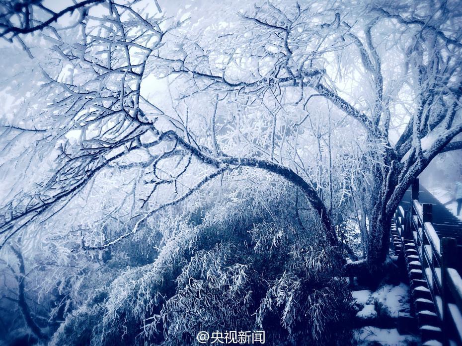 贵州梵净山现雾凇美景 宛如仙境（组图）