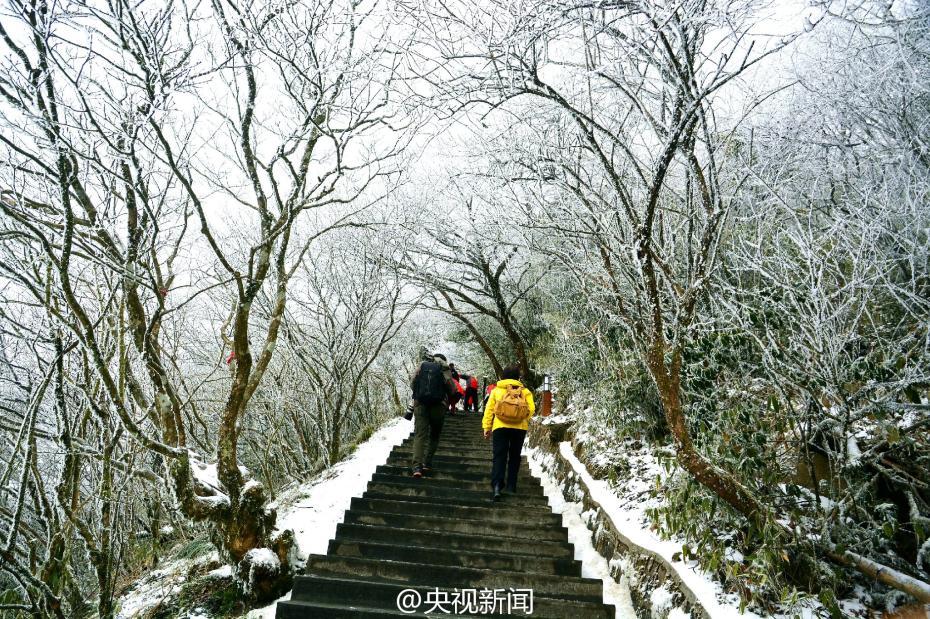 贵州梵净山现雾凇美景 宛如仙境（组图）