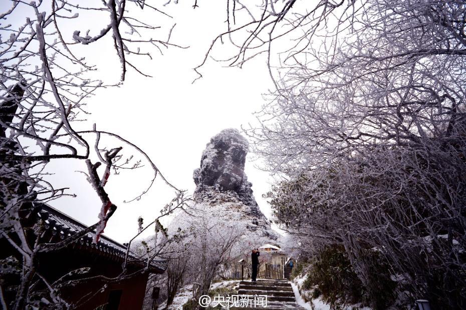 贵州梵净山现雾凇美景 宛如仙境（组图）