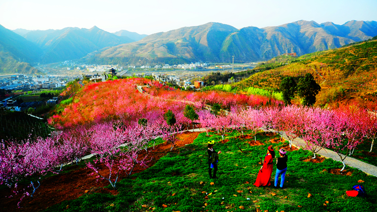 《三生三世》已完结 西安附近哪里能去看桃花？