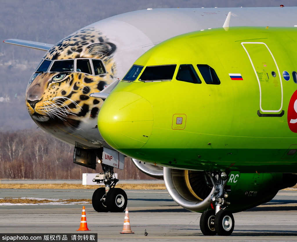 一头豹子飞过来！俄罗斯飞机绘远东豹图案萌态十足