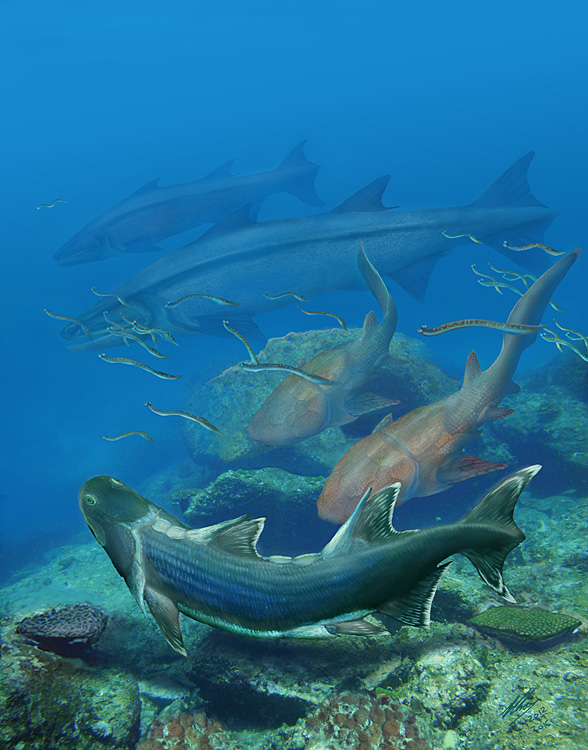 科学家发现4.2亿年前新种鱼化石（图）