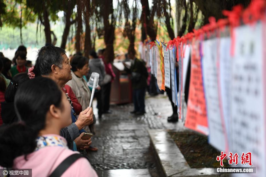 南宁公园“相亲角”场面火爆 家长为子女找对象(组图)