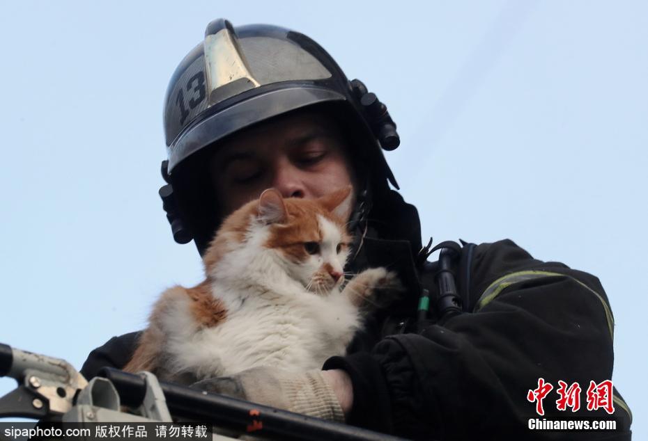 有爱！公寓楼天然气爆炸 消防员救出被困小猫