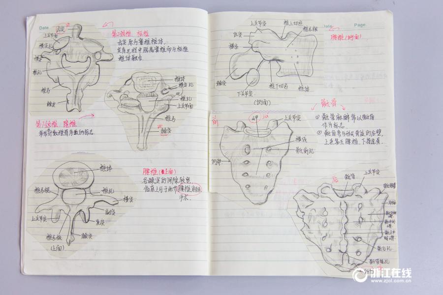 厉害了妹子！杭州大二女生解剖学笔记惊艳走红