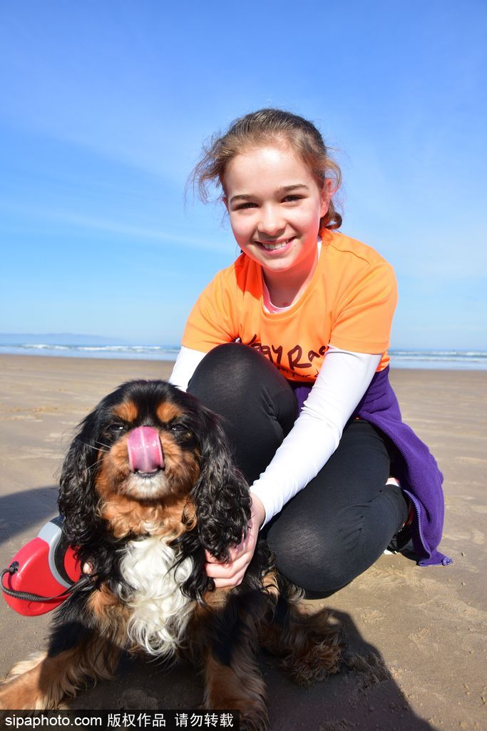 北爱尔兰举行趣味沙滩赛跑 主人带狗同跑欢乐不断