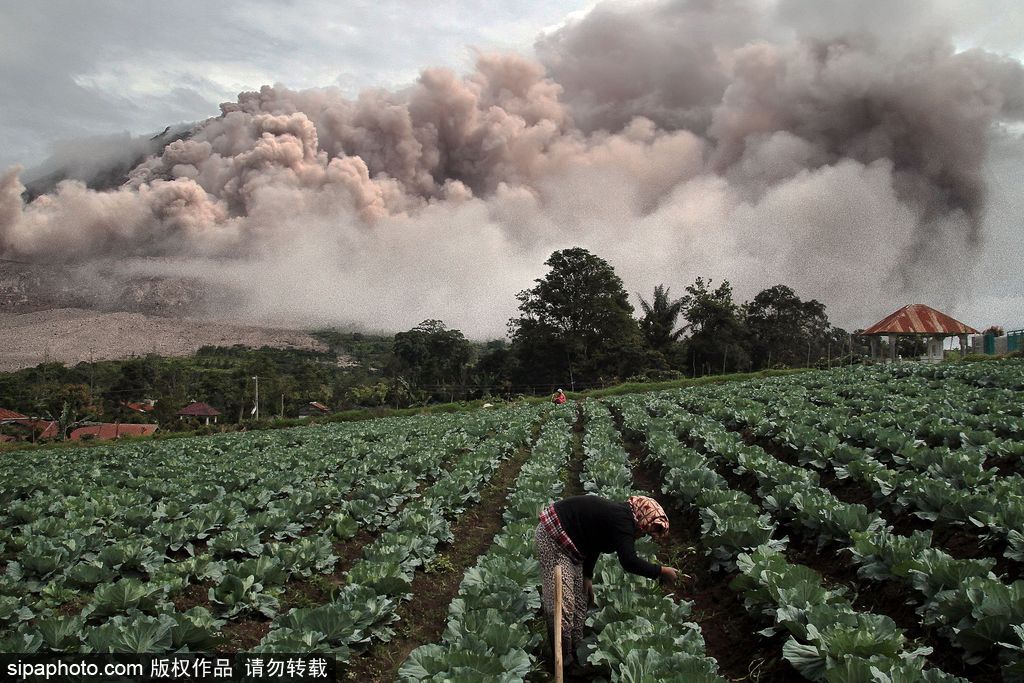 地球异域之美 盘点火山毁天灭地震撼瞬间