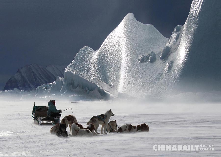地球尽头的生物群落：68岁摄影师镜头记录北极奇观