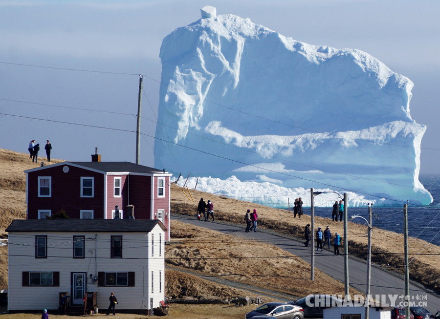 加拿大沿海小镇现巨大冰山 民众争相来“看山”