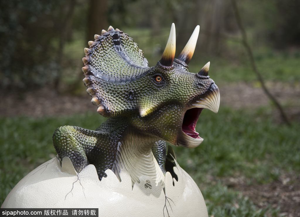 再现侏罗纪王国 伦敦奥斯特利公园举办互动恐龙模型展