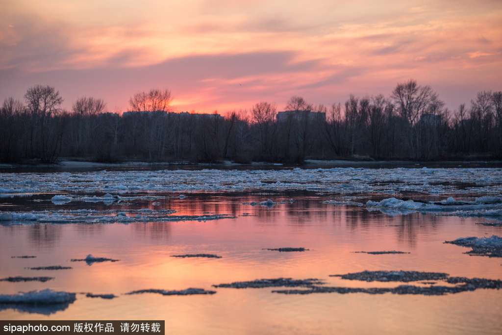 俄罗斯春季额尔齐斯河冰川消融 河面漂浮浮冰