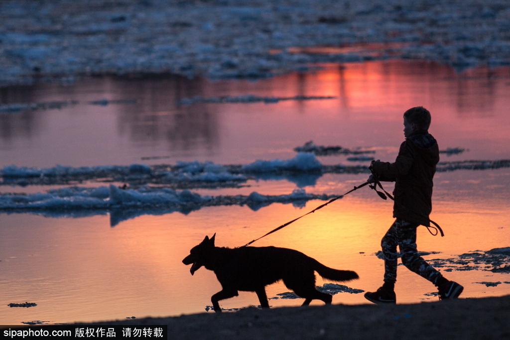 俄罗斯春季额尔齐斯河冰川消融 河面漂浮浮冰