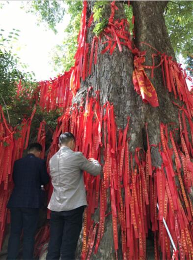 甘肃贫困县发展旅游扶贫 五一小长假吸引万余名游客