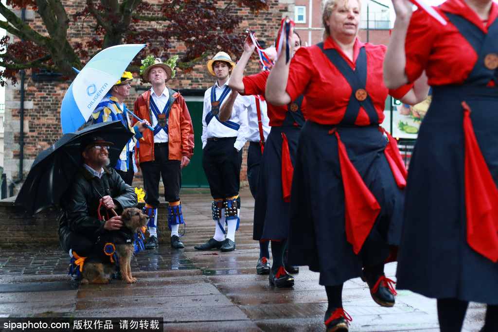 英国人的“尬舞”：彼得伯勒举行五月节日庆典 上演传统莫里斯舞