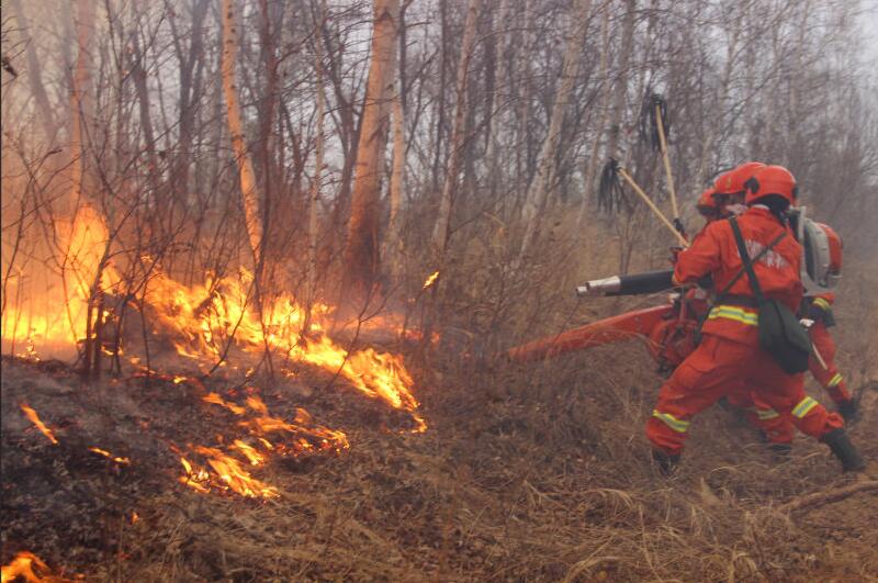 内蒙古大兴安岭毕拉河林业局发生森林火灾