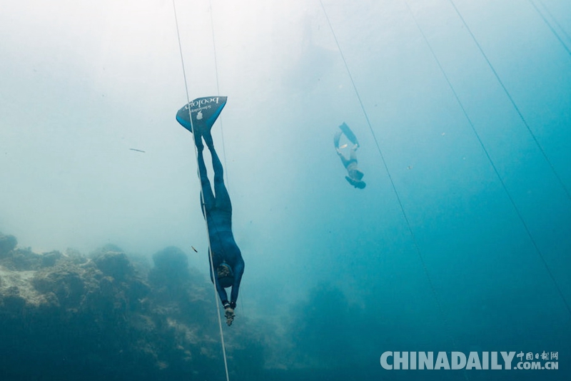 巴哈马蓝洞自由潜水深度挑战赛 中国运动员刷新百米纪录