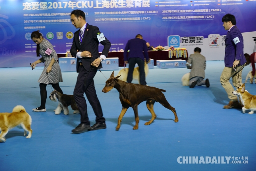 第六届宠博会在上海世博展览馆举行