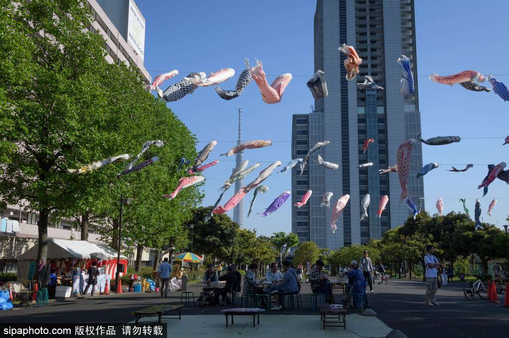 日本东京街头鲤鱼旗飘扬 寄托祝福庆祝男孩节