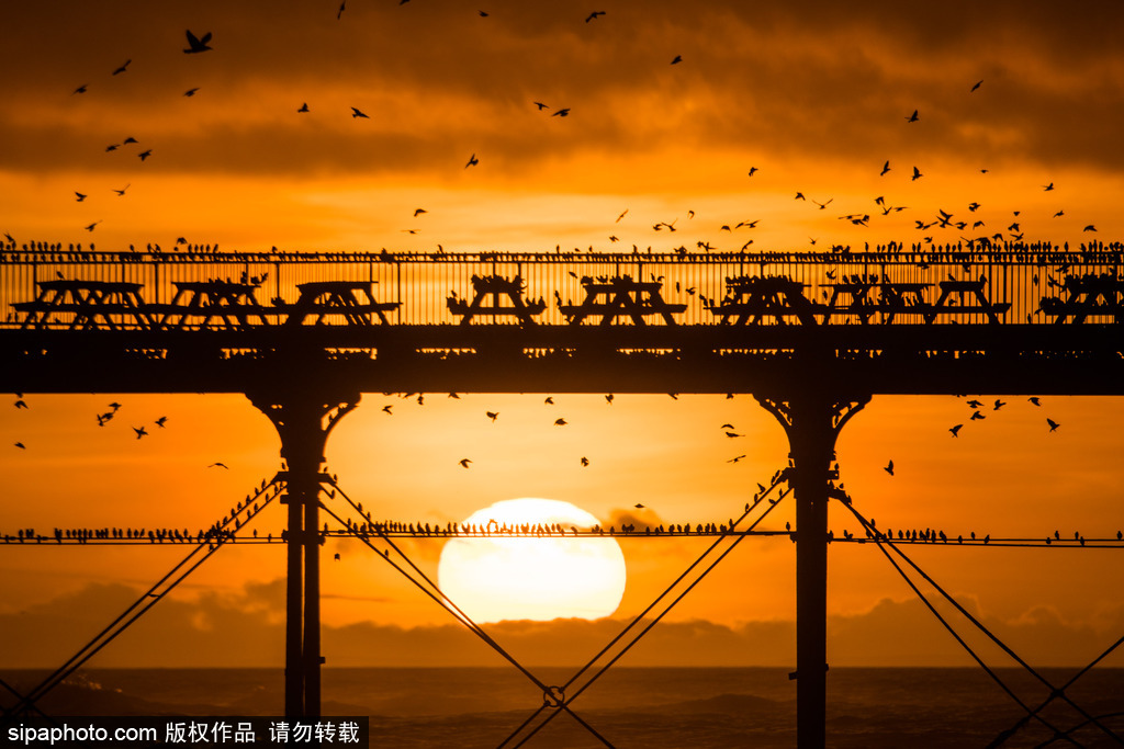 沐浴在落日余晖中 尽享全球最美落日美景