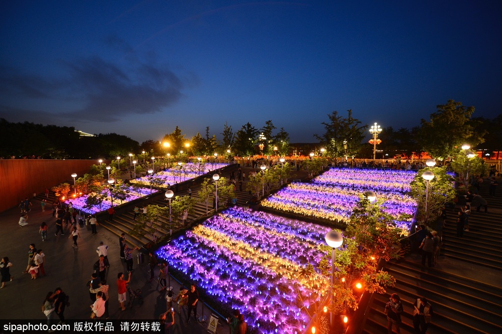 迎“一带一路”高峰论坛 北京国家大剧院景光照明璀璨夺目