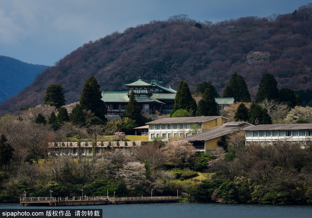 日本富士箱根伊豆国立公园初夏美景