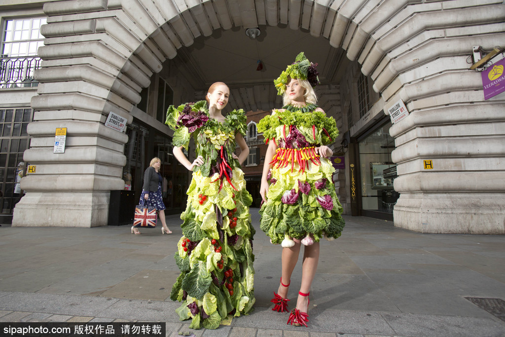 时尚bug冲击！ 英国模特展示沙拉材料制成服装