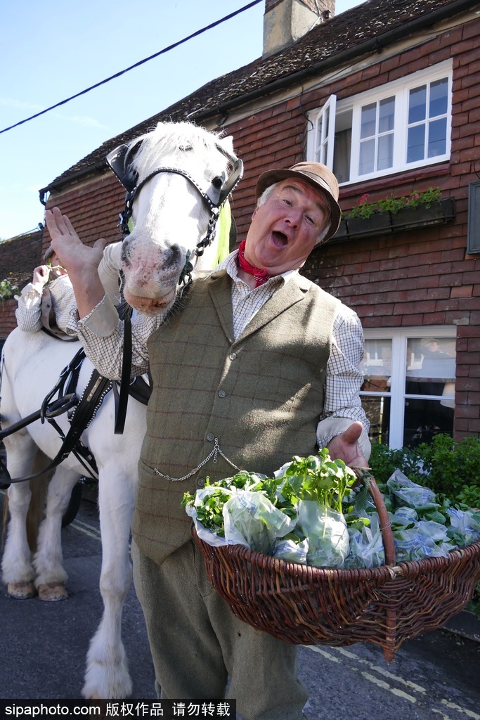英国豆瓣菜节来袭 小镇变绿色蔬菜世界