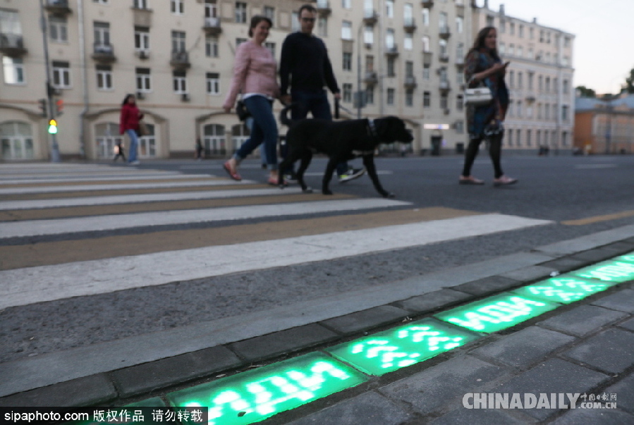 “长”在斑马线上的红绿灯 莫斯科一街道专为低头党设计