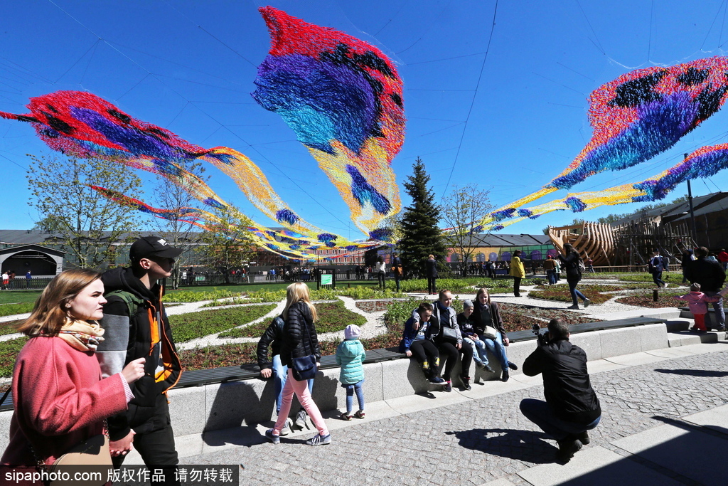如坠凡间 俄罗斯艺术家创作“火鸟”艺术品吸人眼球