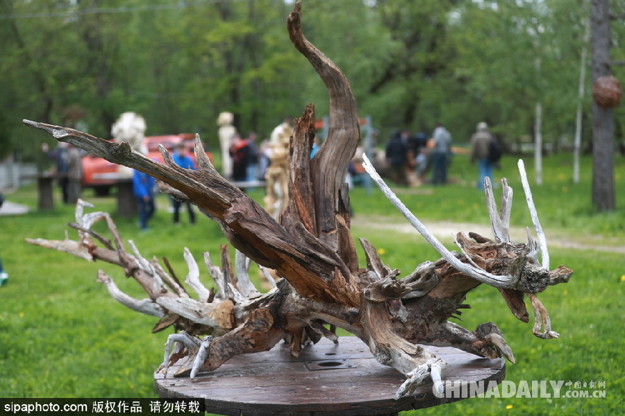 俄罗斯莫斯科举行首届根雕艺术节 形态各异