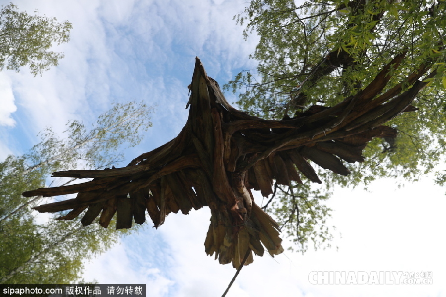 俄罗斯莫斯科举行首届根雕艺术节 形态各异