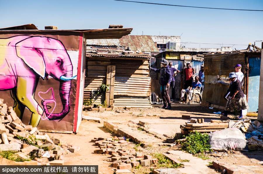 南非街头大象涂鸦 丰富多彩栩栩如生