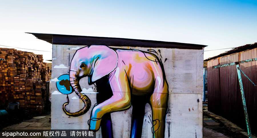 南非街头大象涂鸦 丰富多彩栩栩如生