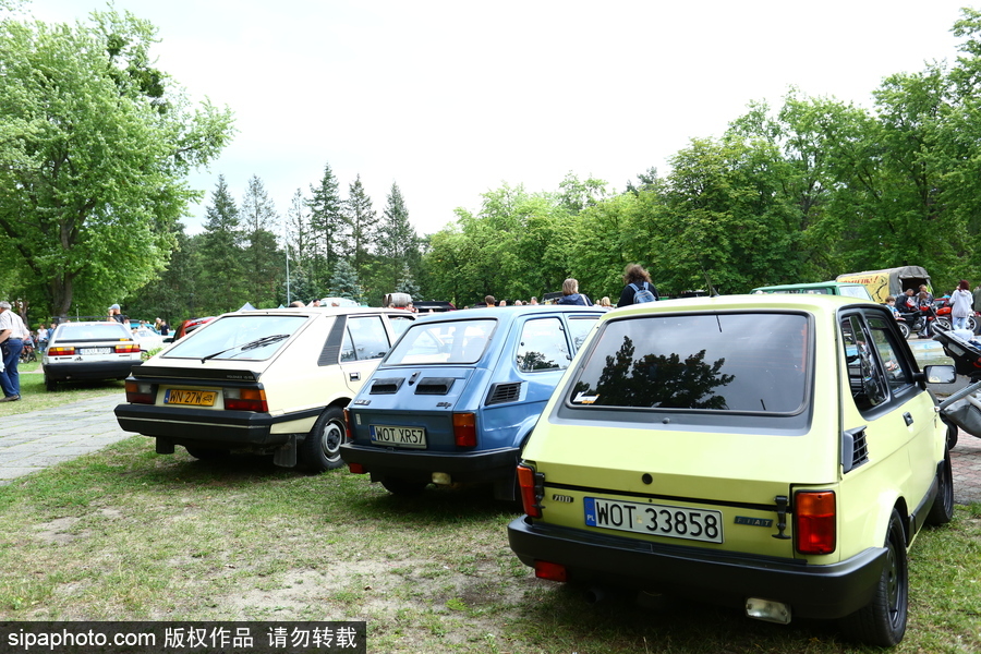 波兰举行复古车展 细数经典老爷车停留的岁月