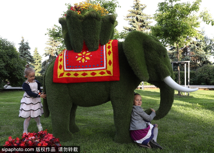 莫斯科举办国际花展节 精美花雕引民众驻足