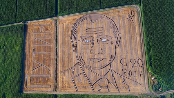 意大利农民艺术家创作普京巨幅田野肖像