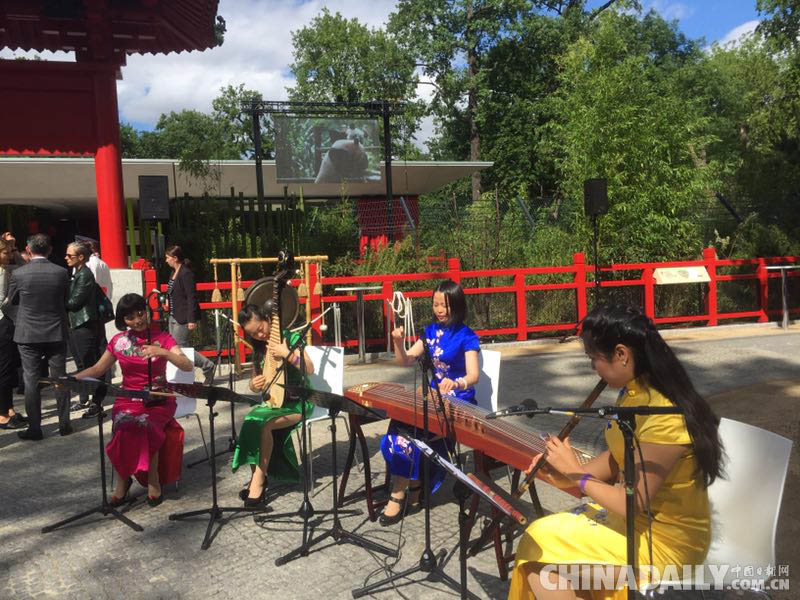 柏林动物园熊猫“梦梦”“姣庆”将于7月6日与首批公众见面