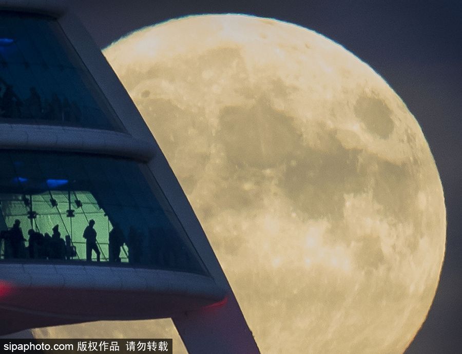 人类月球日 盘点地球视角下的明月当空