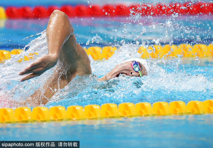 2017游泳世锦赛男子400米自由泳决赛：孙杨力压霍顿夺冠