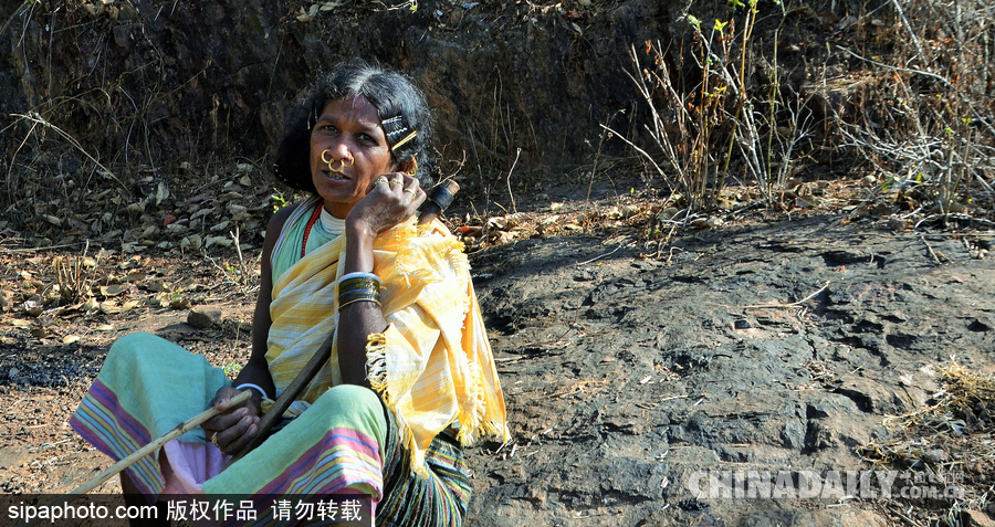 记录印度奥里萨邦部落女性 妇女辛勤劳作