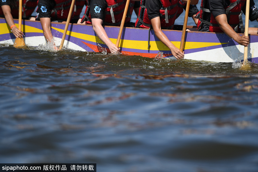 第27届纽约香港龙舟节开幕 200支队伍奋力角逐