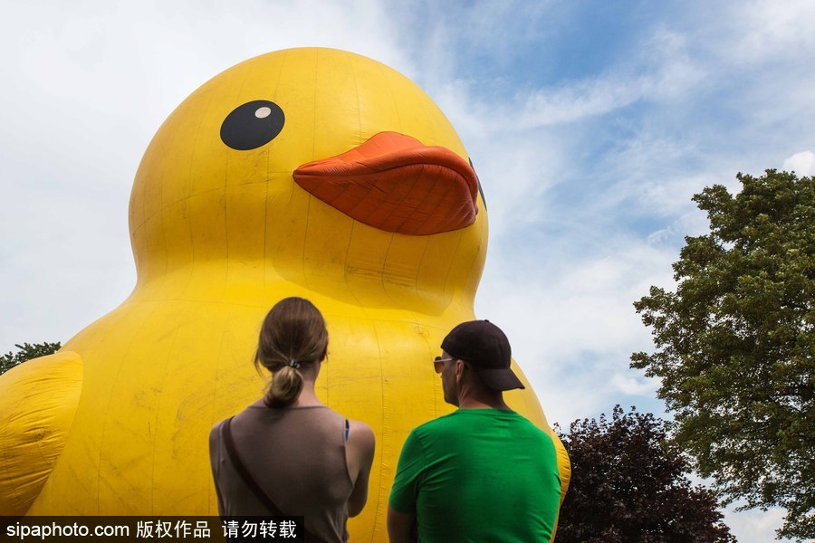 世界最大充气大黄鸭加拿大碉堡岛展出 游客争相拍照留念