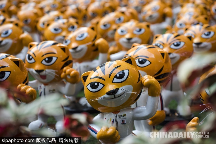 2017东南亚运动会前瞻：上百只吉祥物“里茂”虎亮相吉隆坡