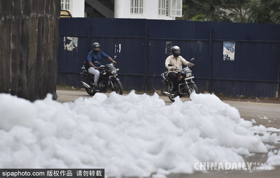 印度贝兰杜尔湖污染严重 产生大量泡沫充斥街头