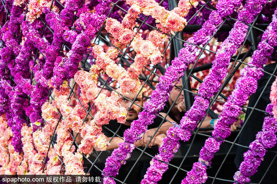 鲜花还能这样玩 荷兰鲜花大游行现巨型花卉“怪兽”