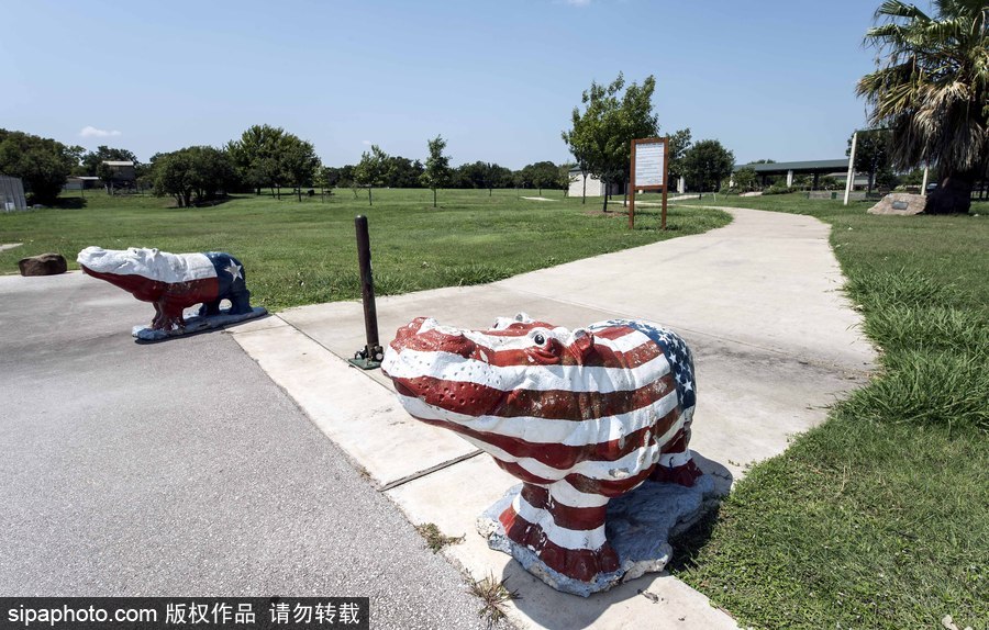 “河马小镇”美国胡托 街头遍布河马雕塑