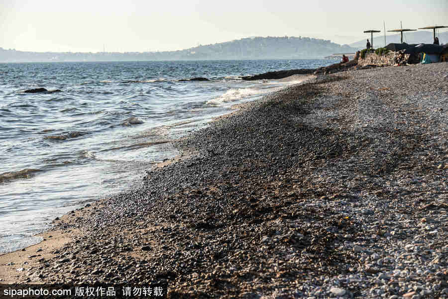 希腊原油泄漏致重大污染 海滩一片焦黑