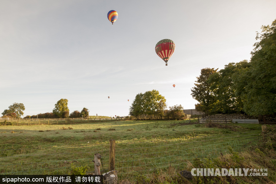 爱尔兰举行热气球锦标赛 色彩点缀天空场景浪漫