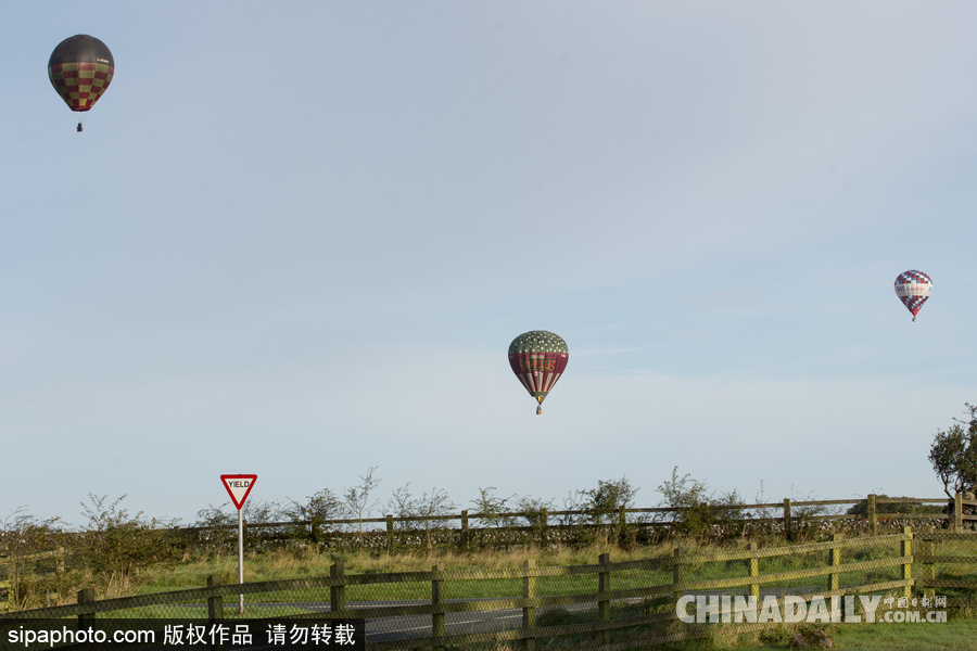 爱尔兰举行热气球锦标赛 色彩点缀天空场景浪漫