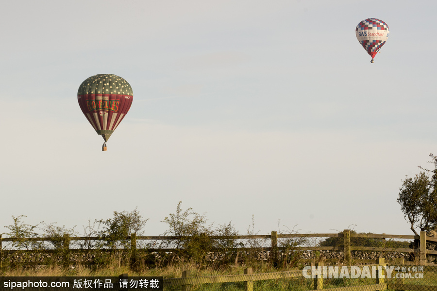 爱尔兰举行热气球锦标赛 色彩点缀天空场景浪漫